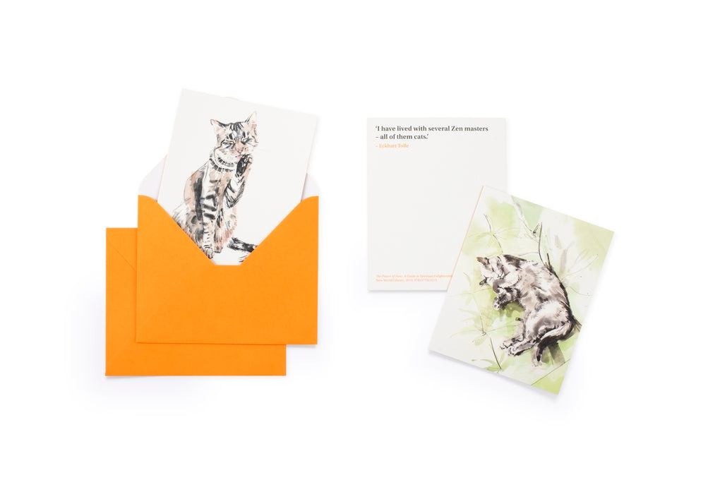 For the Love of Cats: 20 Individual Notecards and Envelopes by Sarah Maycock, Ana Sampson