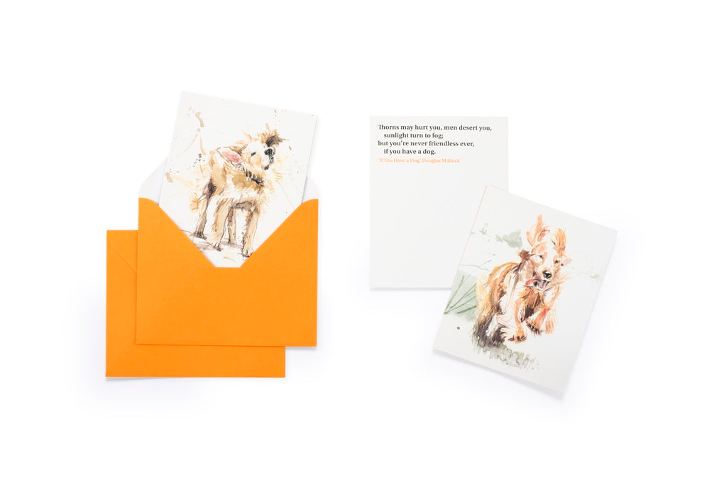 For the Love of Dogs: 20 Individual Notecards and Envelopes by Ana Sampson, Sarah Maycock