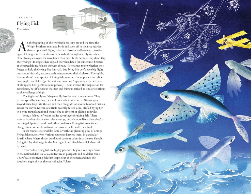 Around the Ocean in 80 Fish and other Sea Life by Helen Scales, Marcel George