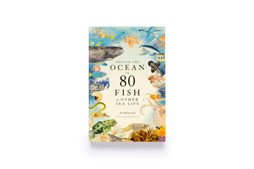 Around the Ocean in 80 Fish and other Sea Life by Helen Scales, Marcel George