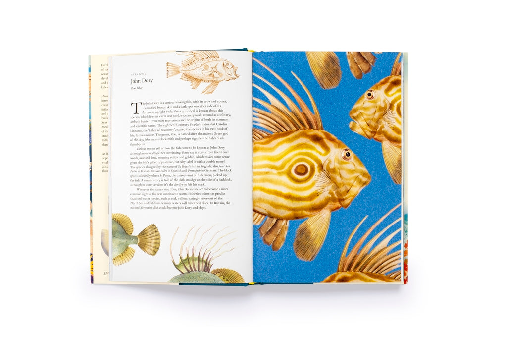 Around the Ocean in 80 Fish and other Sea Life by Helen Scales, Marcel George