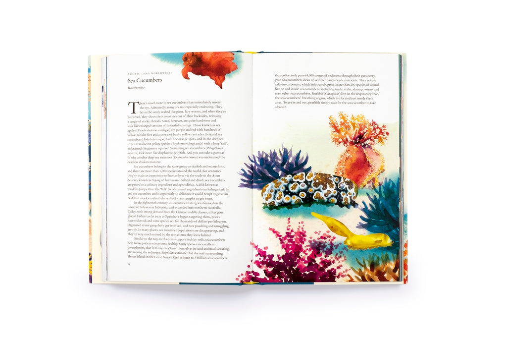 Around the Ocean in 80 Fish and other Sea Life by Helen Scales, Marcel George