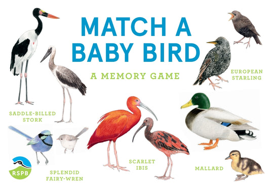 Match a Baby Bird by Christine Berrie, Mike Unwin