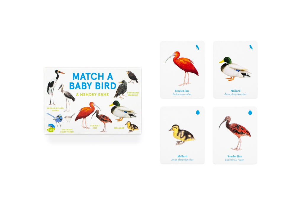 Match a Baby Bird by Christine Berrie, Mike Unwin