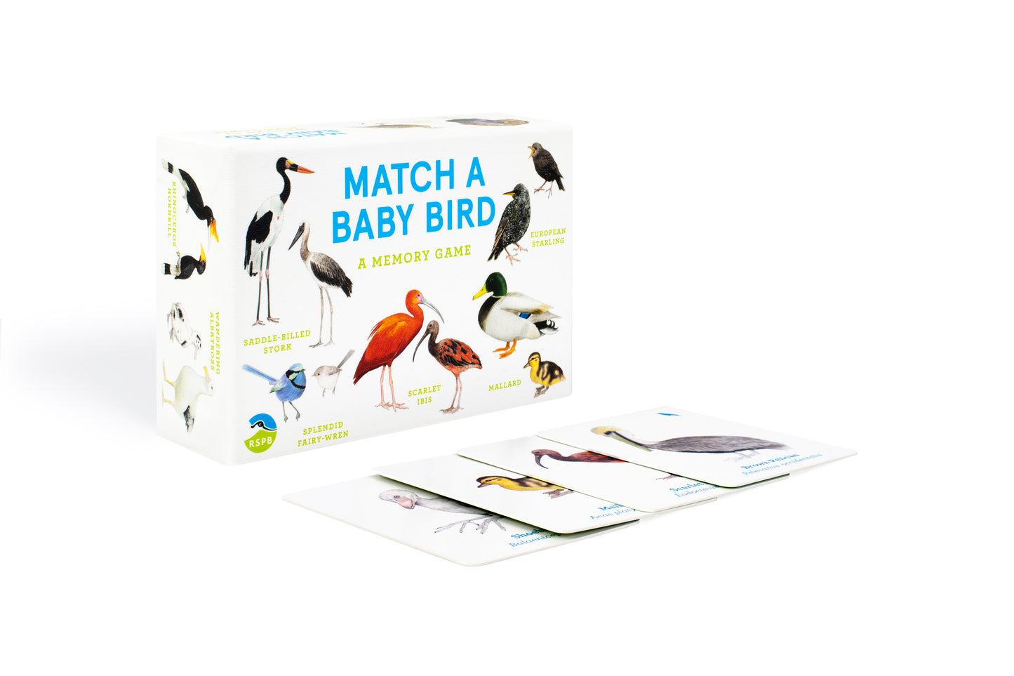 Match a Baby Bird