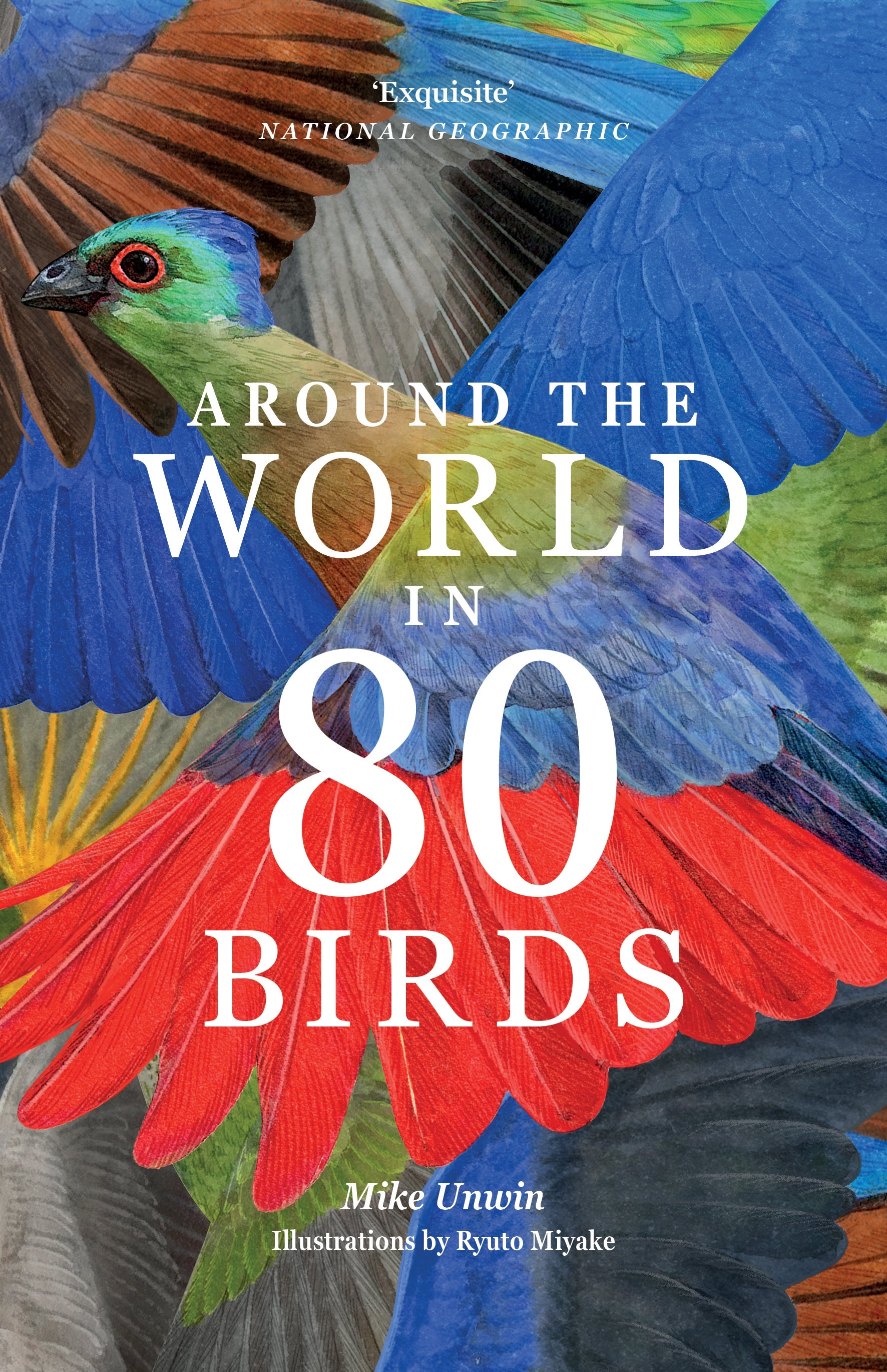 Around the World in 80 Birds by Mike Unwin, Ryuto Miyake