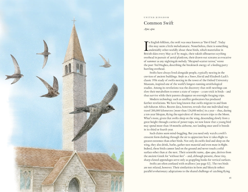 Around the World in 80 Birds by Mike Unwin, Ryuto Miyake