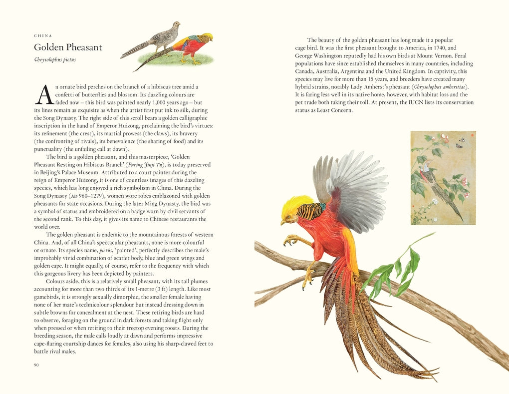 Around the World in 80 Birds by Mike Unwin, Ryuto Miyake