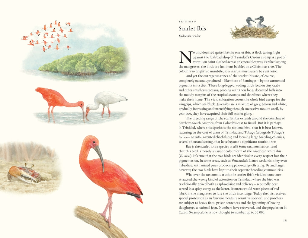 Around the World in 80 Birds by Mike Unwin, Ryuto Miyake