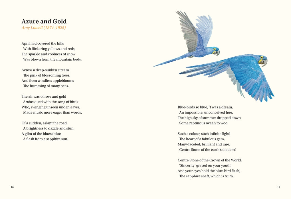 The Book of Bird Poems by Ana Sampson, Ryuto Miyake