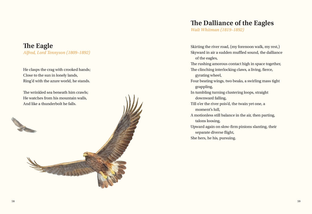 The Book of Bird Poems by Ana Sampson, Ryuto Miyake