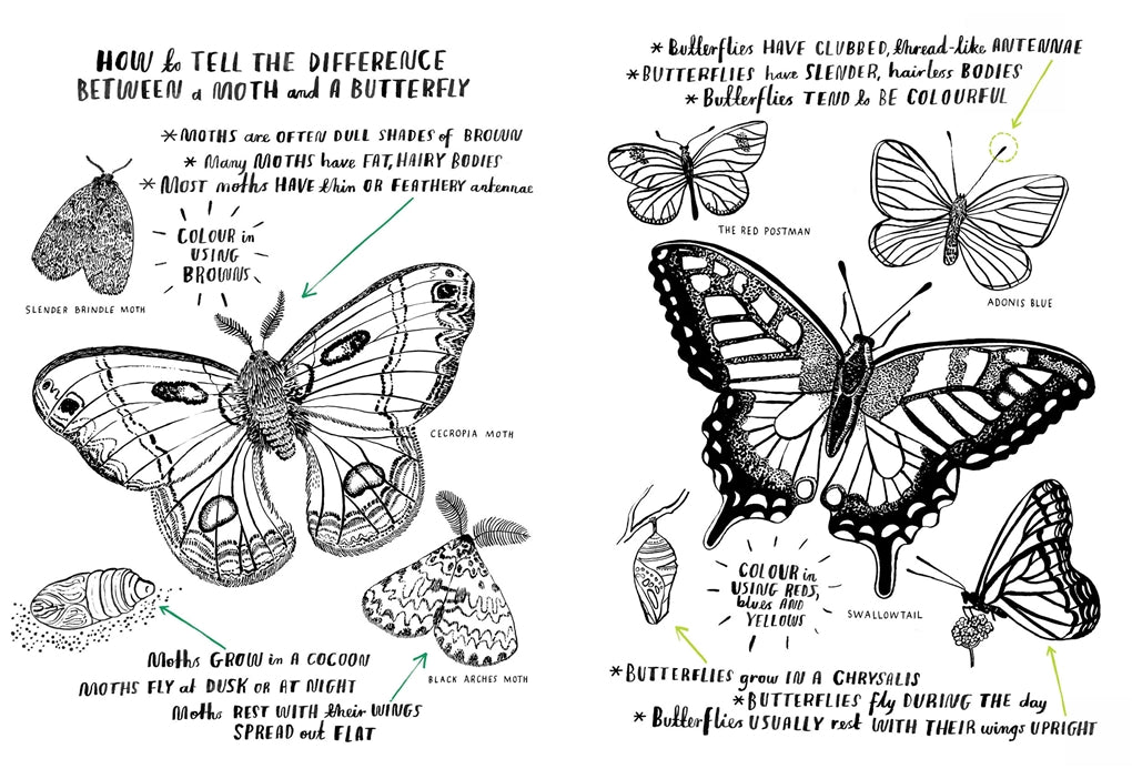 Hello Nature Activity Book by Nina Chakrabarti