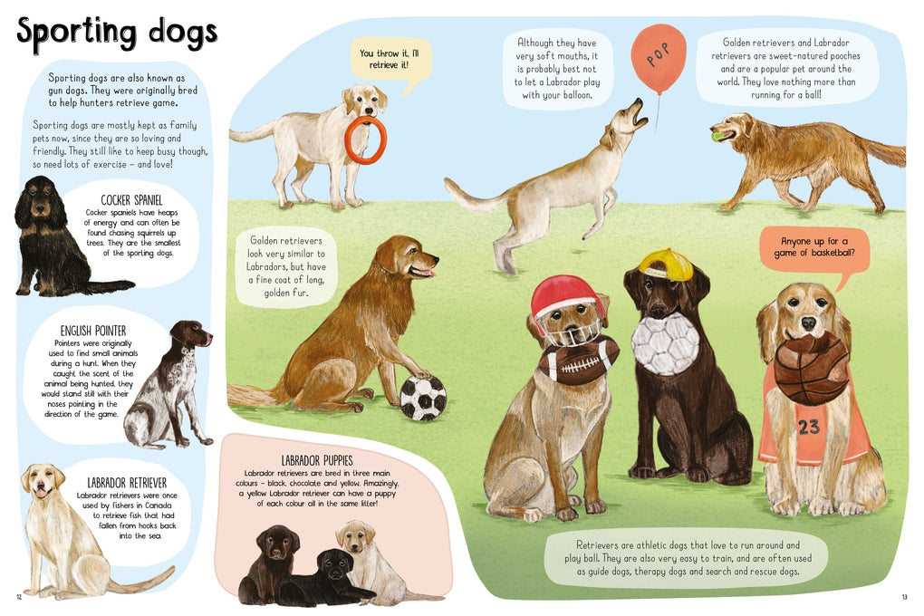 A Book of Dogs (and other canines) by Katie Viggers
