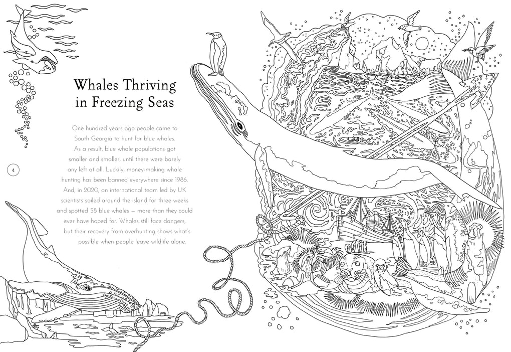 Return of the Wild Colouring Book by Helen Scales