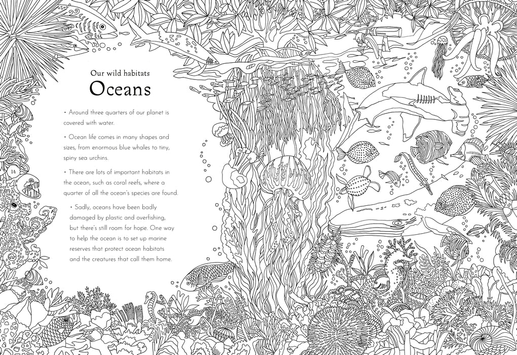 Return of the Wild Colouring Book by Helen Scales