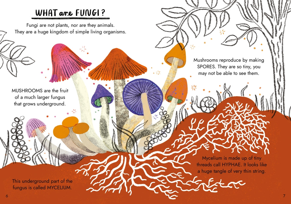 Little Guides to Nature: Hello Fungi by Nina Chakrabarti