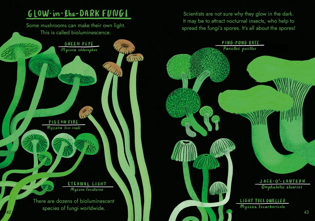 Little Guides to Nature: Hello Fungi by Nina Chakrabarti