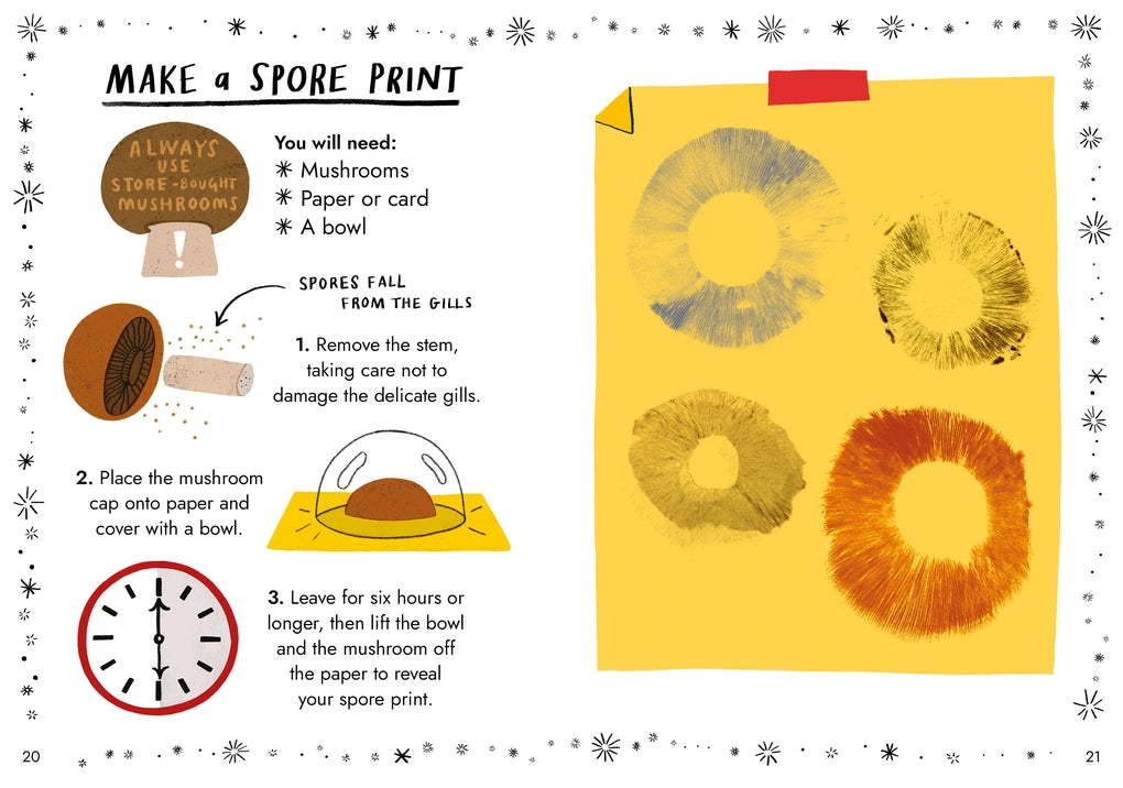 Little Guides to Nature: Hello Fungi by Nina Chakrabarti