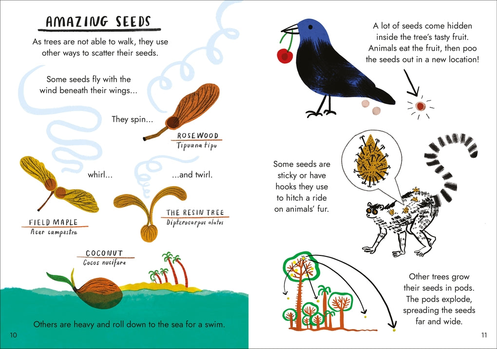 Little Guides to Nature: Hello Trees by Nina Chakrabarti