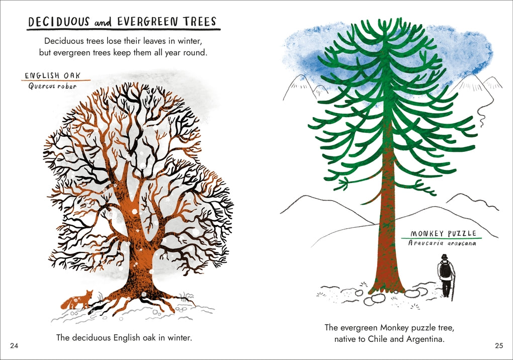 Little Guides to Nature: Hello Trees by Nina Chakrabarti