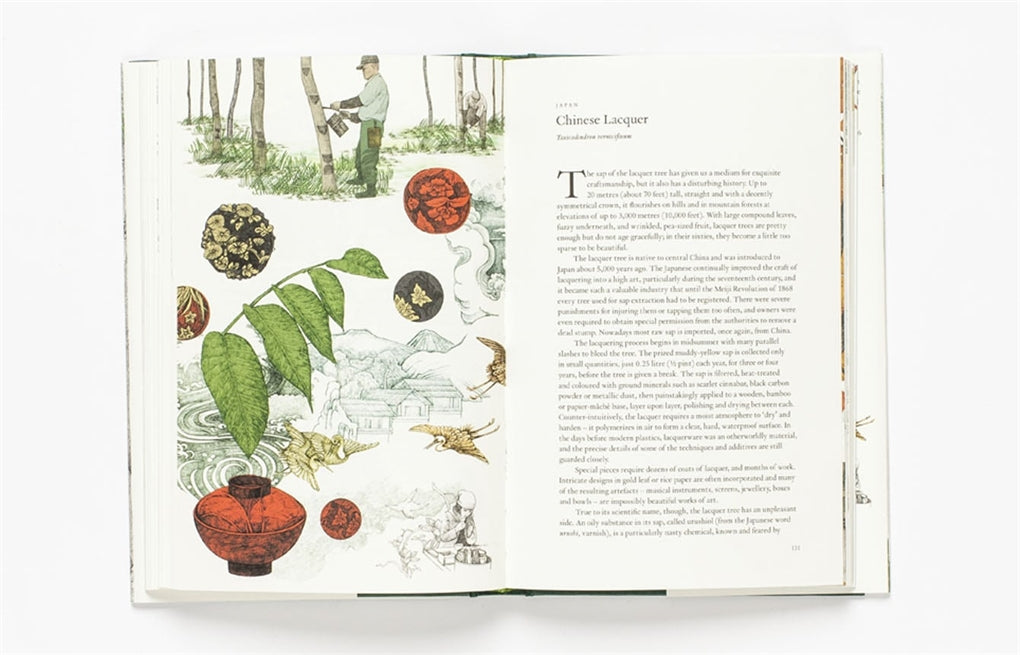 Around the World in 80 Trees by Jonathan Drori, Lucille Clerc, Lucille Clerc