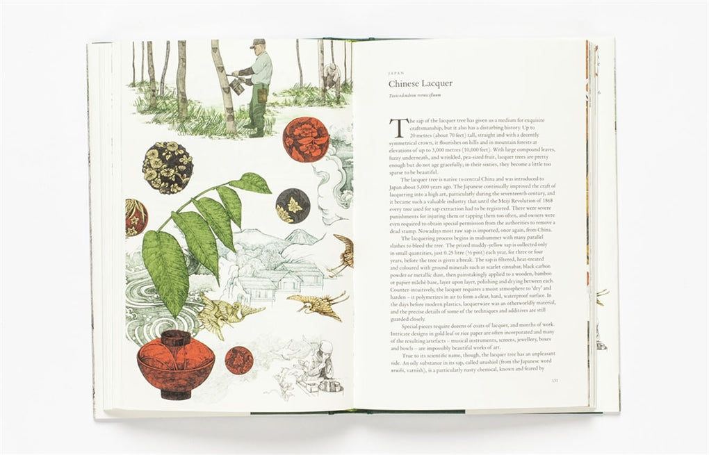 Around the World in 80 Trees by Jonathan Drori, Lucille Clerc, Lucille Clerc