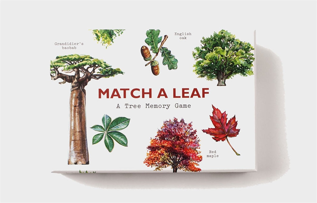 Match a Leaf by Holly Exley, Tony Kirkham