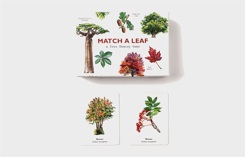 Match a Leaf by Holly Exley, Tony Kirkham