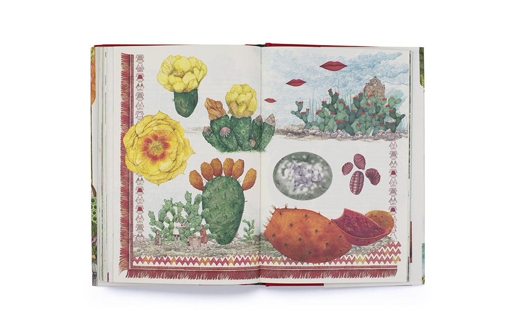 Around the World in 80 Plants by Jonathan Drori, Lucille Clerc