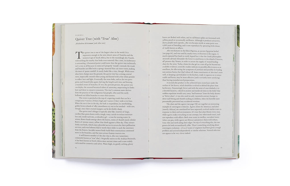 Around the World in 80 Plants by Jonathan Drori, Lucille Clerc