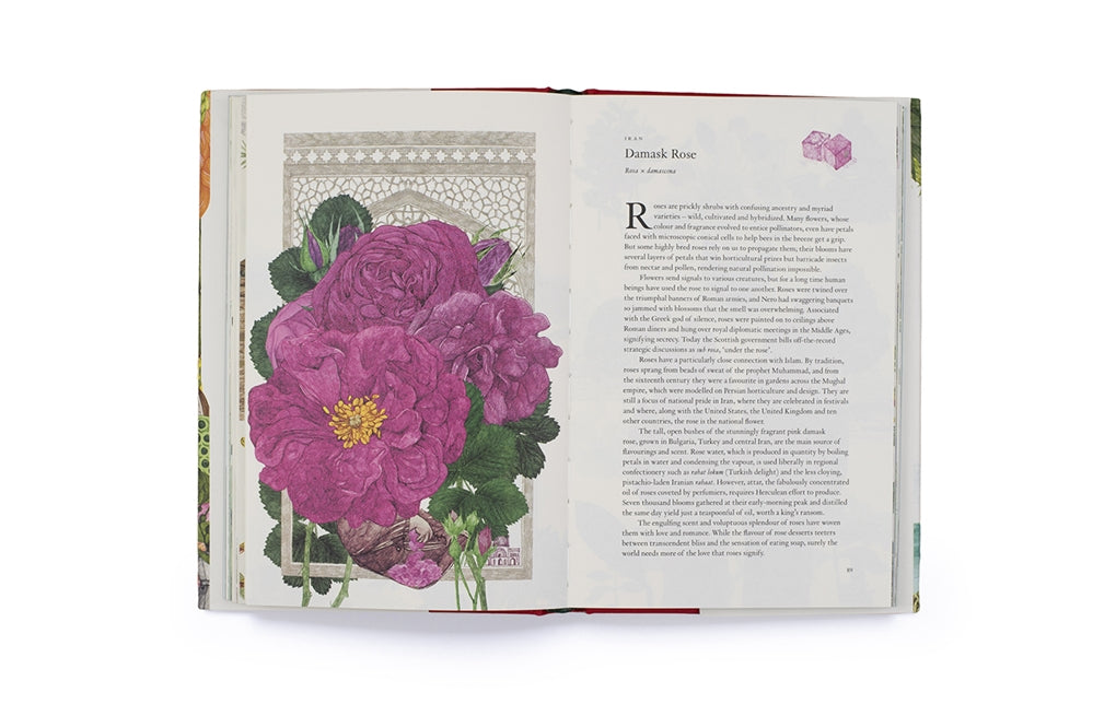 Around the World in 80 Plants by Jonathan Drori, Lucille Clerc