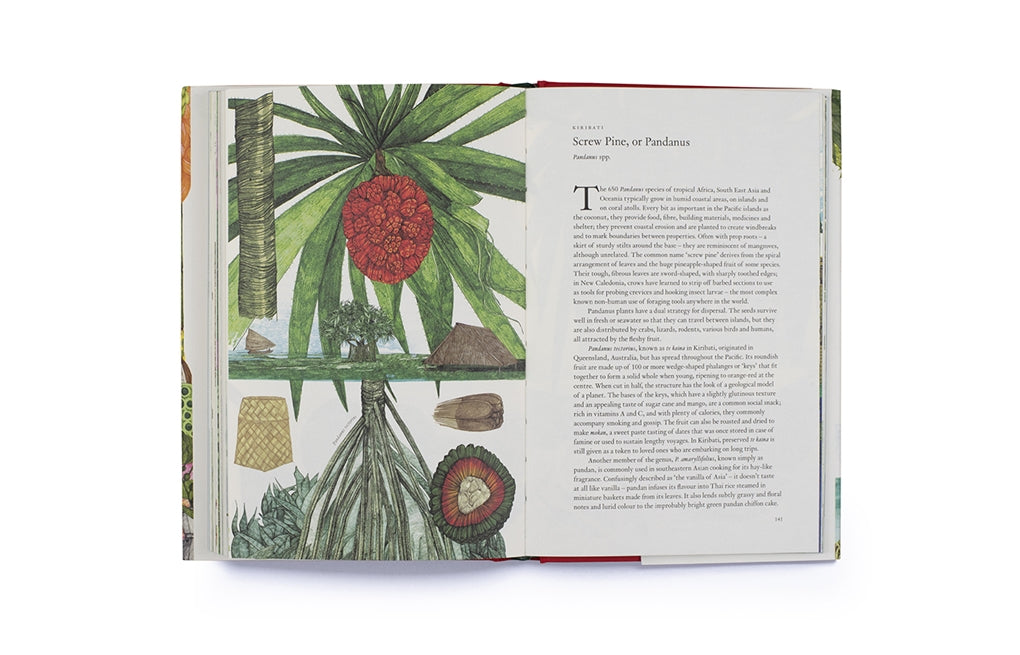 Around the World in 80 Plants by Jonathan Drori, Lucille Clerc