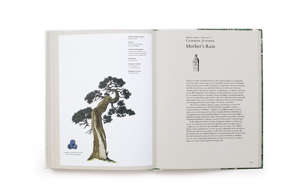 The Story of Trees by Kevin Hobbs, David West