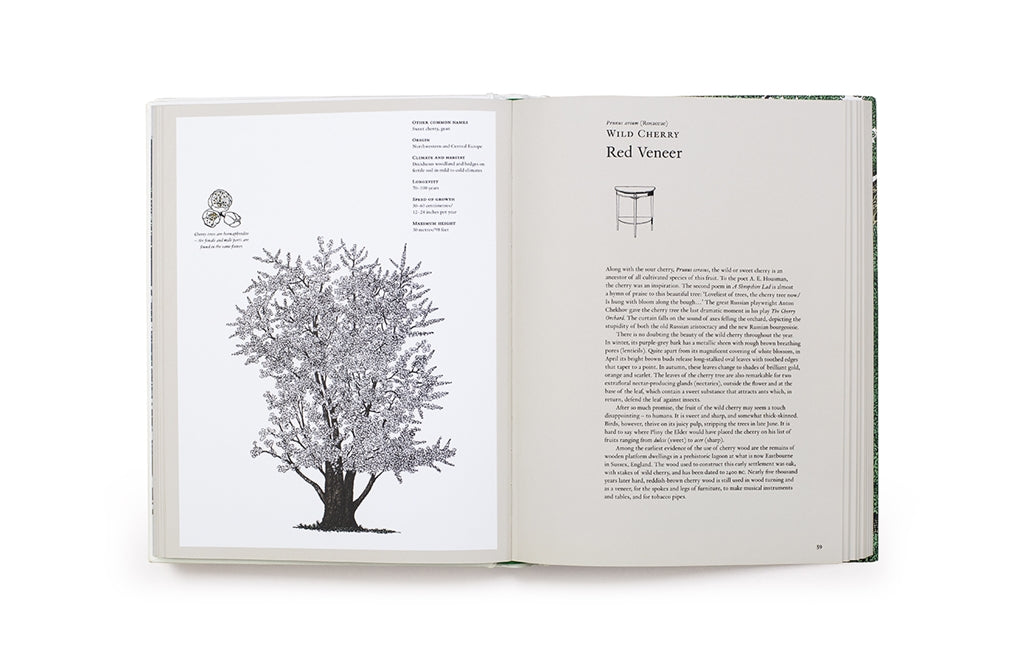 The Story of Trees by Kevin Hobbs, David West