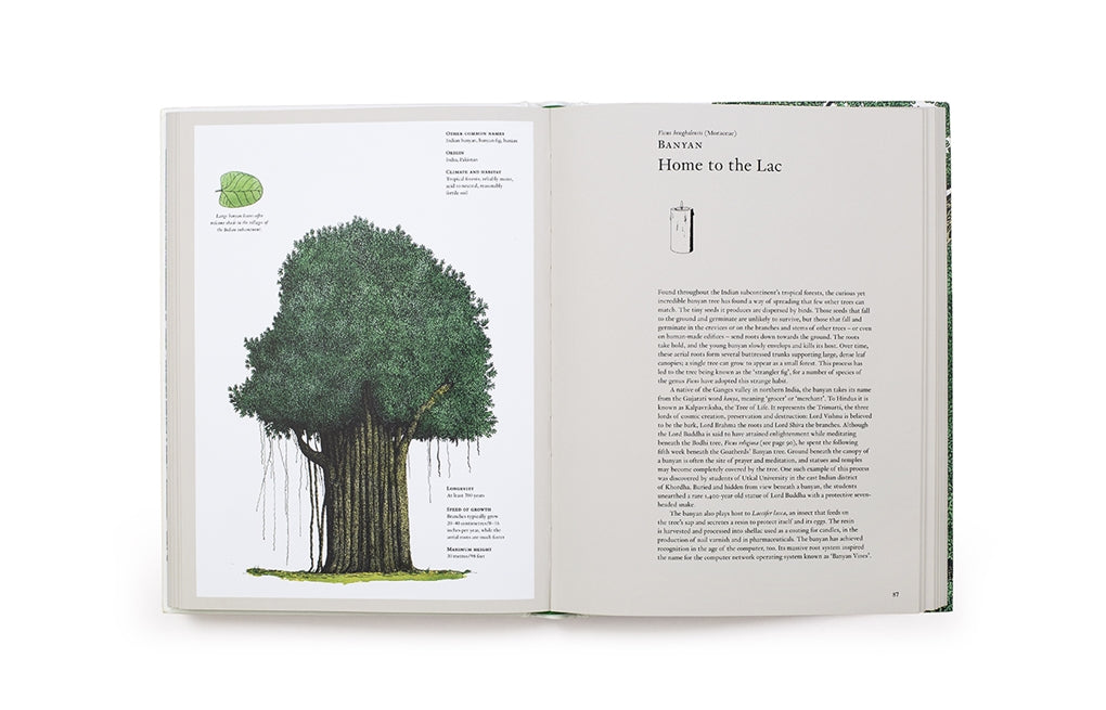 The Story of Trees by Kevin Hobbs, David West