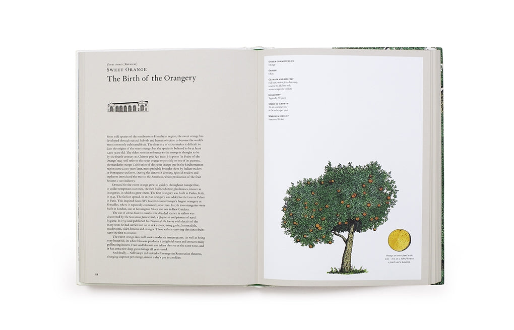 The Story of Trees by Kevin Hobbs, David West