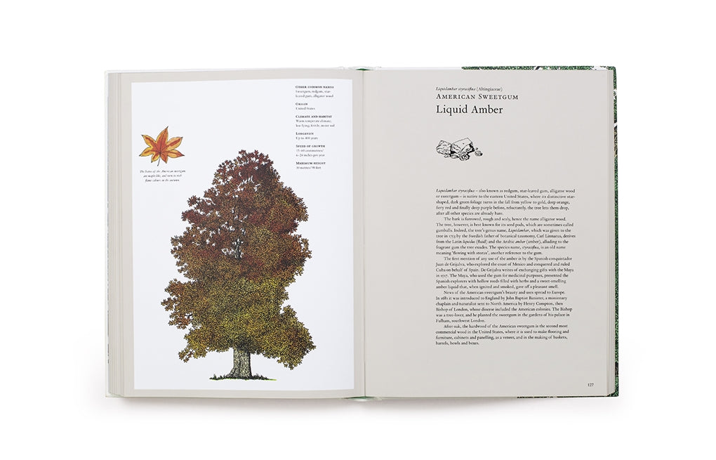 The Story of Trees by Kevin Hobbs, David West