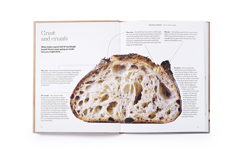 How to raise a loaf and fall in love with sourdough by Roly Allen