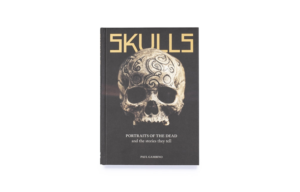 Skulls by Paul Gambino