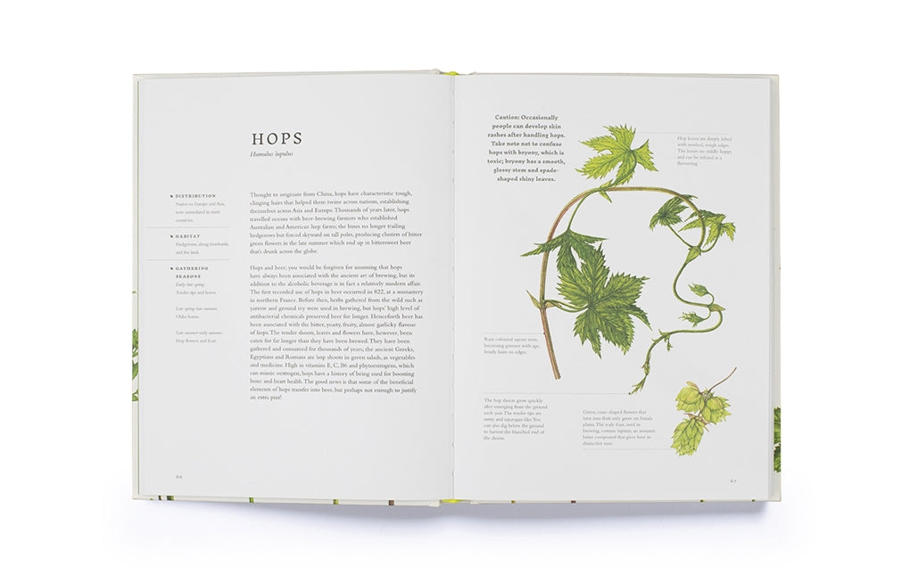 Forage by Liz Knight, Rachel Pedder-Smith