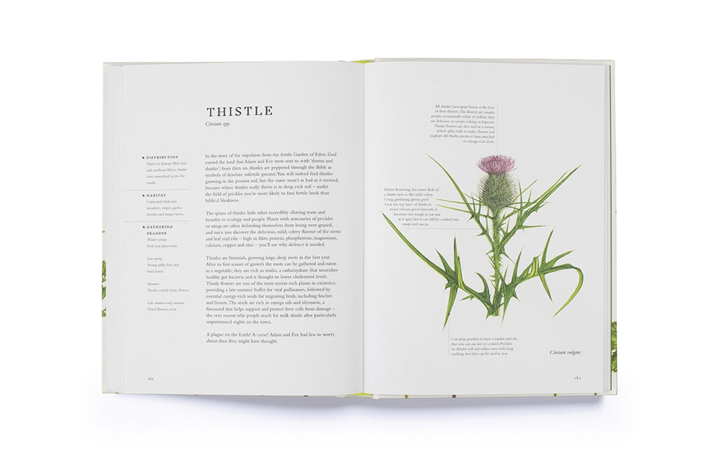 Forage by Liz Knight, Rachel Pedder-Smith