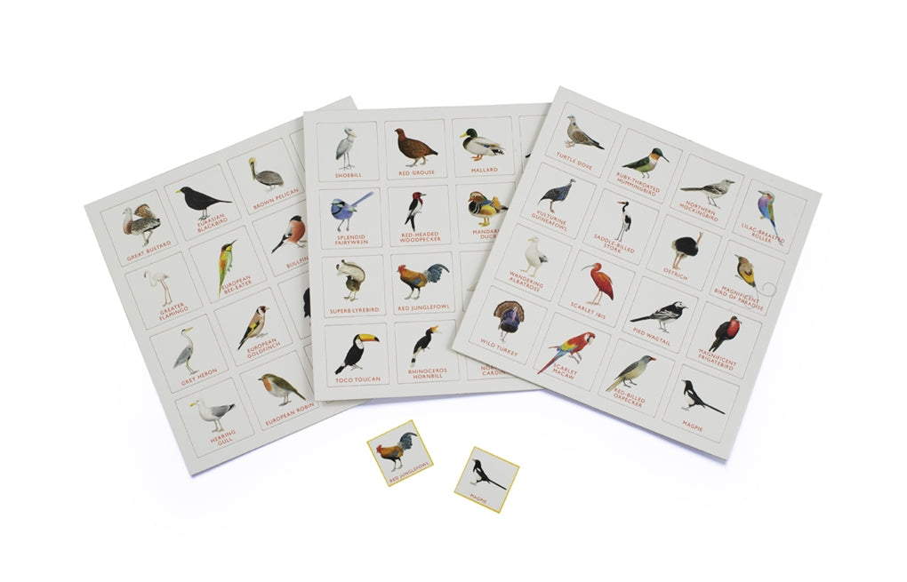 Bird Bingo by Christine Berrie, Laurence King Publishing