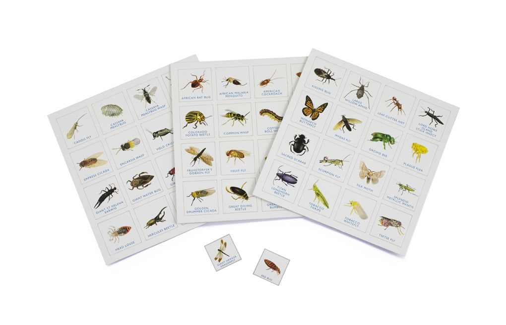 Bug Bingo by Laurence King Publishing