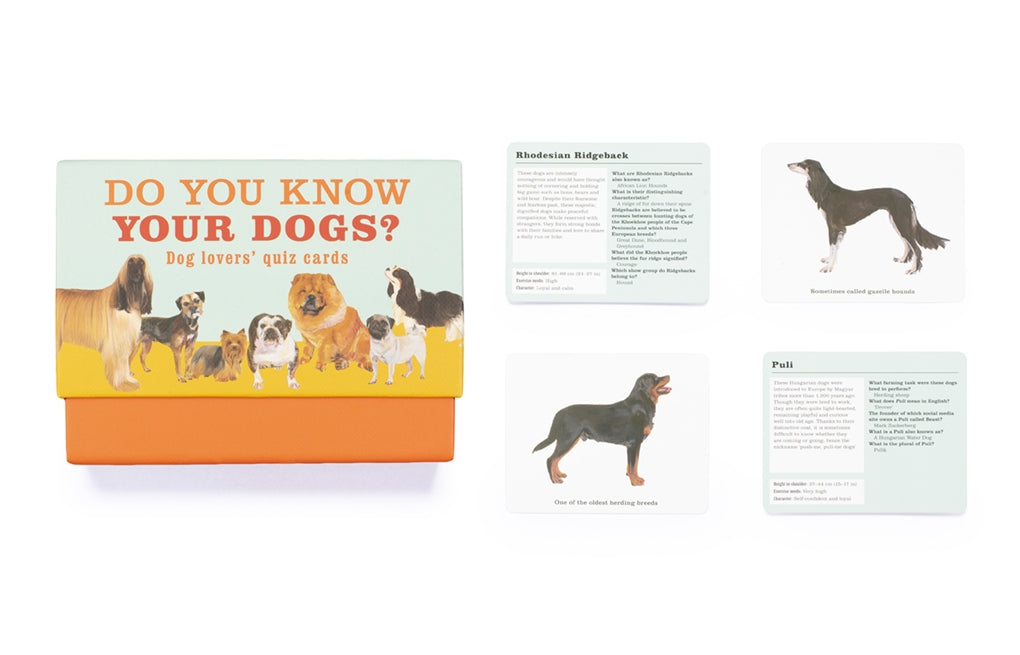 Do You Know Your Dogs? by Debora Robertson, Polly Horner