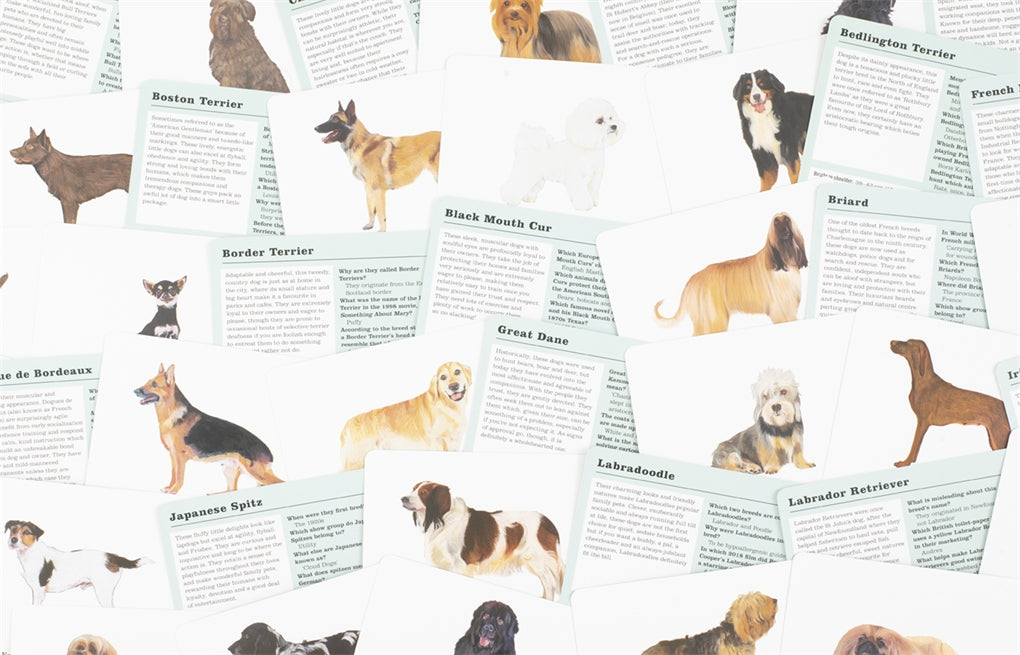 Do You Know Your Dogs? by Debora Robertson, Polly Horner