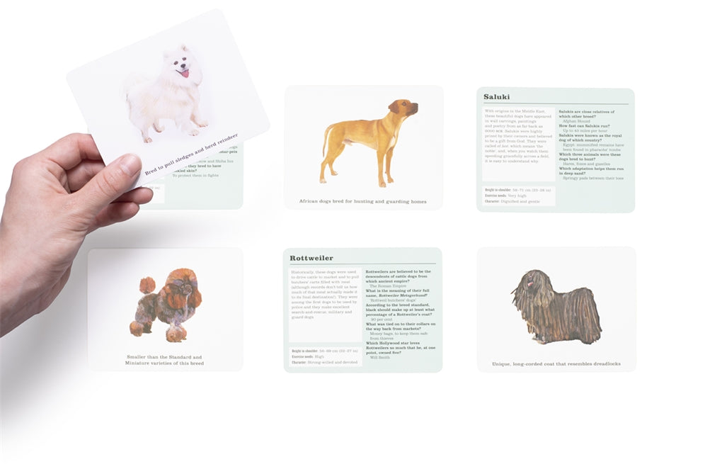 Do You Know Your Dogs? by Debora Robertson, Polly Horner