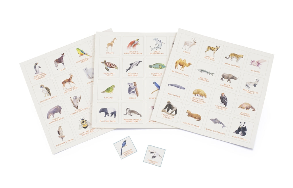 Endangered Animals Bingo by Marcel George, Magma Publishing Ltd