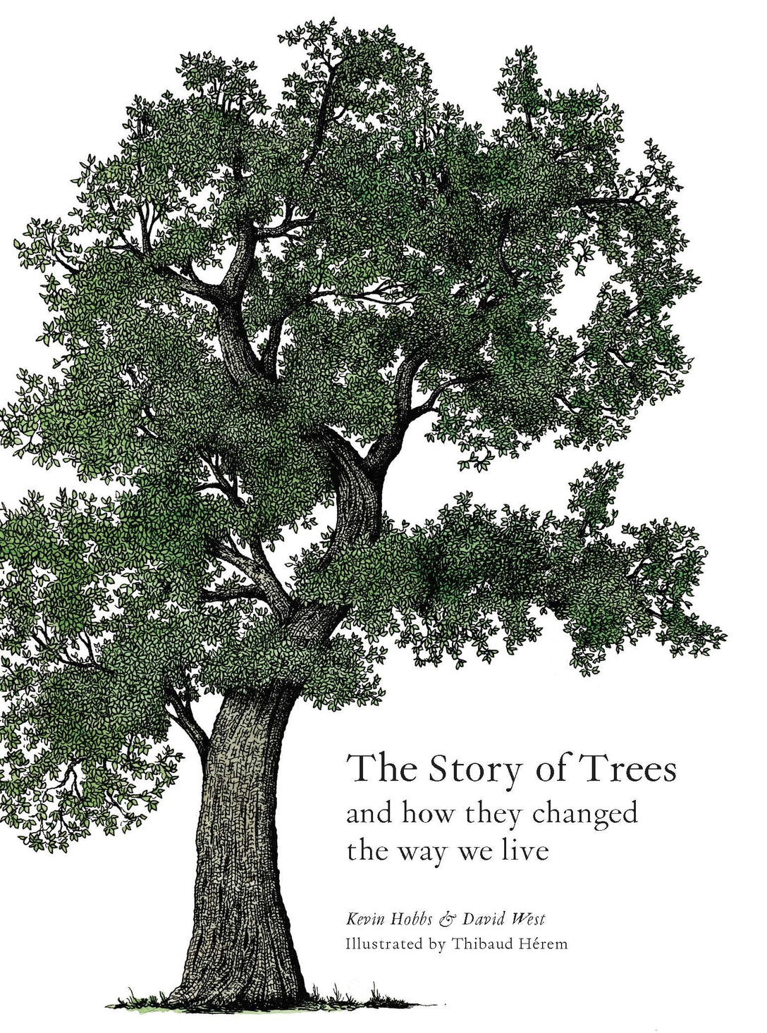 The Story of Trees by Kevin Hobbs, David West